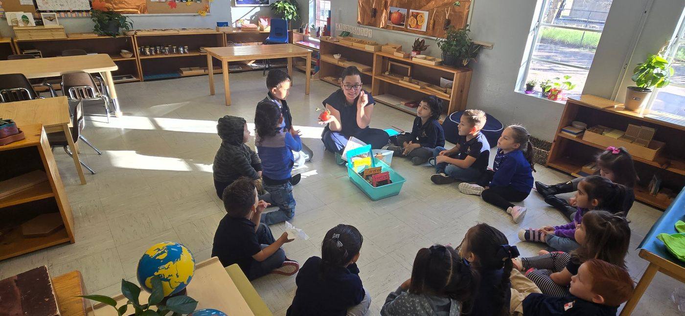 Una guía da una lección sobre plantas a niños sentados en círculo